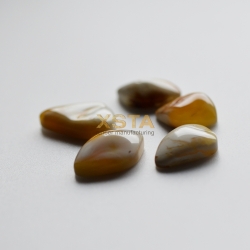 Amber natural cabochons 5 pieces